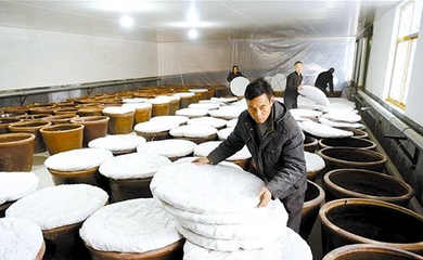 釀造食醋奔富路，食品銷售創輝煌——傳統技藝與現代市場的完美融合